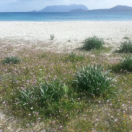 Maestrale Holiday home Olbia